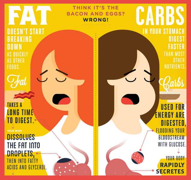 When Does the Body Utilize Fat Efficiently as a Fuel?